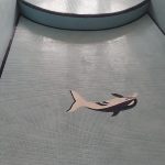 کاشی کاری سرامیک استخر